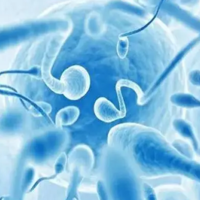 三代试管解决精子碎片率高，三代试管技术如何解决精子碎片率高