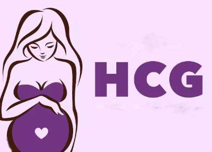 HCG水平会在妊娠前6周翻倍