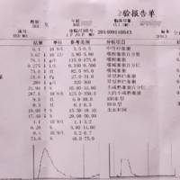 下一篇