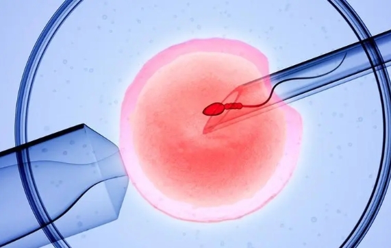 人工授精一次能放二个胚胎