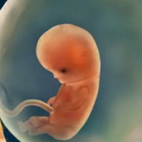 宝宝股骨长与孕周对照表大公开，孕12周就有7mm左右了