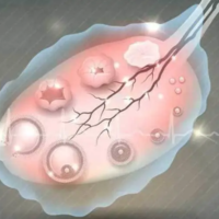 如何检查卵泡发育和卵子是否正常