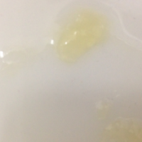 下一篇