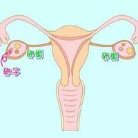 二代试管促排双侧卵巢有十六个卵泡正常吗？
