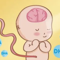 下一篇