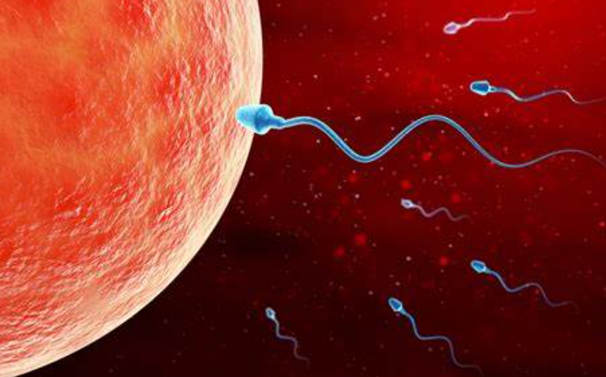 人工受孕和试管受孕的区别
