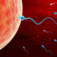 人工受孕和试管受孕有什么区别？分别有什么优劣势？
