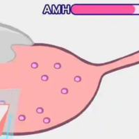 下一篇