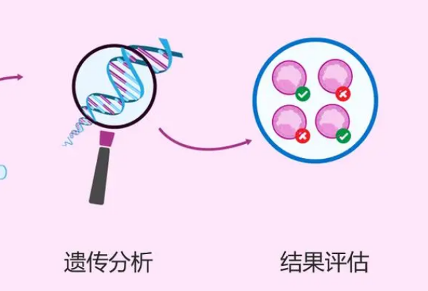 家族有遗传史要进行两次胚胎筛查