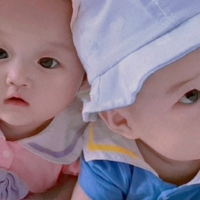 49岁做试管成功生下双胞胎，试管生双胞胎的几率大吗?