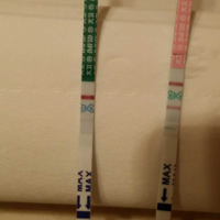 上一篇