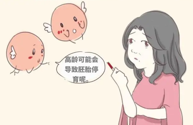 高龄女性试管怀双胞胎比较困难