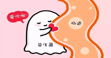 拜奥益生菌和妈咪爱成分不同