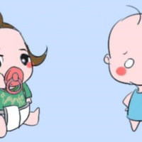 下一篇