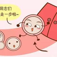 上一篇