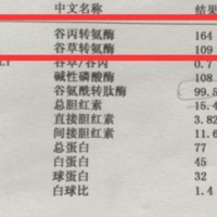 备孕期间查肝功能检查结果出来转氨酶140多严重吗？