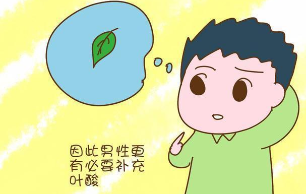 男性补充叶酸可以提高生育力