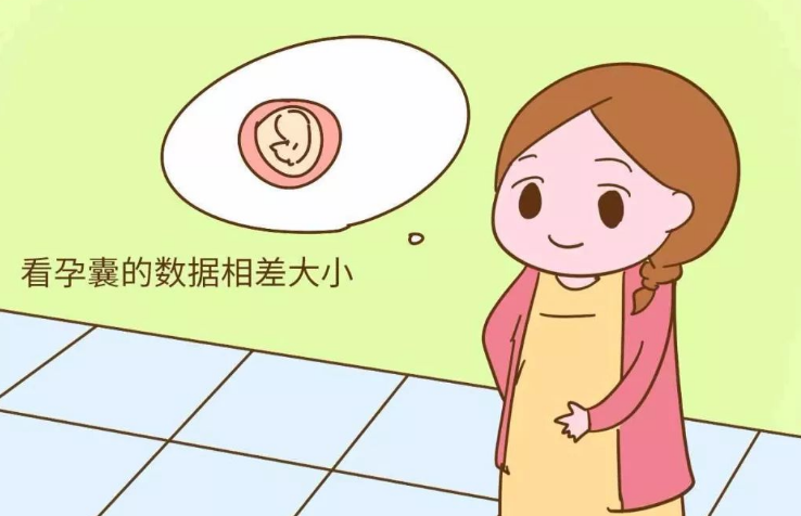 孕囊里有两个胚芽有可能是双胞胎