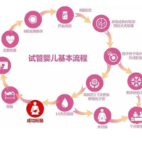 做试管婴儿的全部流程需要多久时间，试管婴儿有哪些步骤和环节