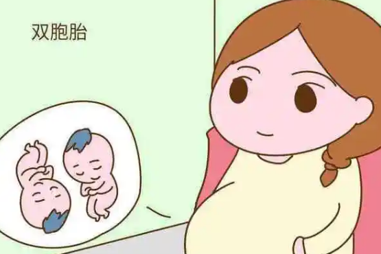 同房姿势与怀双胞胎时没有关系的