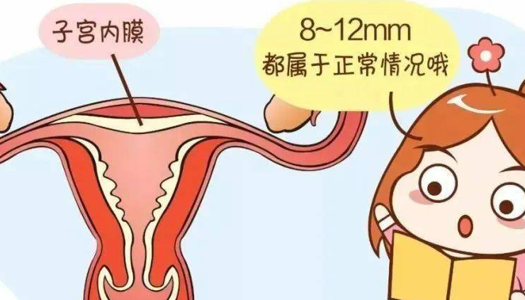 B超可以看到子宫内膜厚度