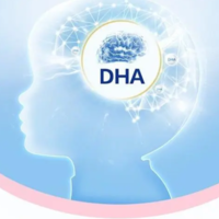 宝宝dha十大牌子，分别有什么优势