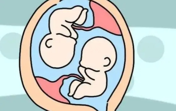 怀孕12周以后形成胎盘胎儿比较稳