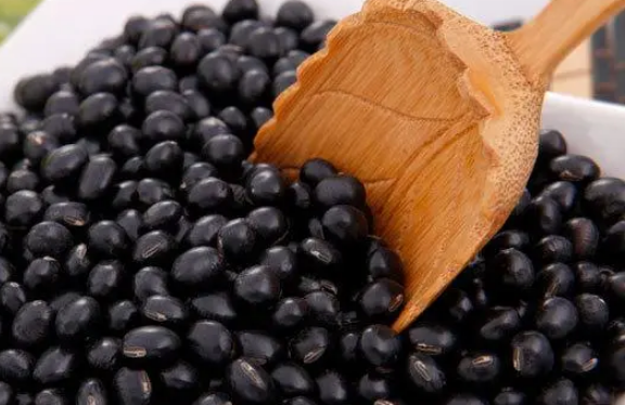 黑豆可以帮助女性调节内分泌