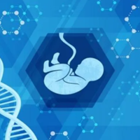 马来西亚做试管婴儿包生男孩可靠吗?马来西亚试管成功率?