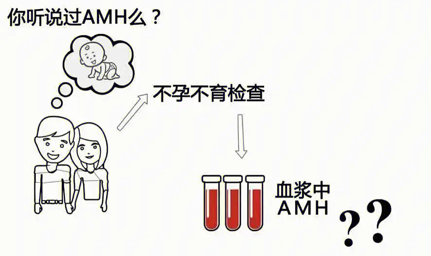 备孕女性请注意卵巢AMH值，变低或会致不孕