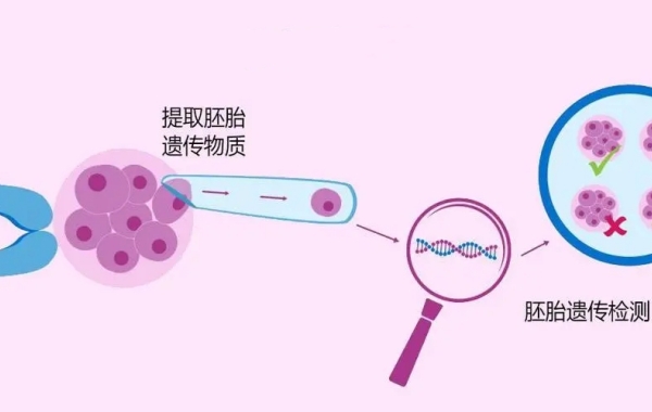 三代试管可以通过GPT技术对胚胎进行筛选