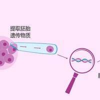 上一篇