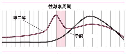 排卵后性激素变化图