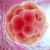 2023南昌哪家医院有卵子库，如何选择卵子库医院