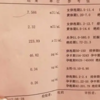 下一篇