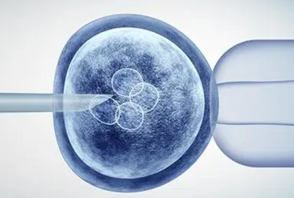 鲜胚移植成功后月经会延迟