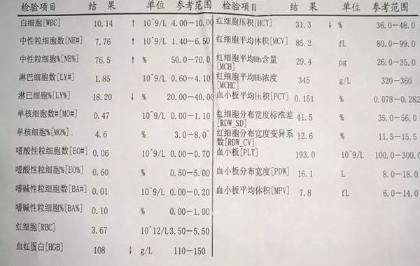 血常规24项检查可以反映人体健康状况