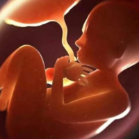 产妇月子期吃胎盘的最佳时间是第几周？