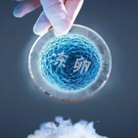 2023鄂州当地的医院有卵子库吗？想做试管婴儿需要卵子