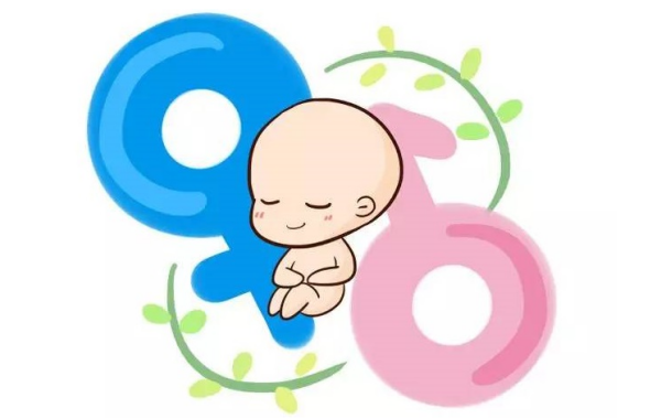 男孩智商100%遗传母亲是真的吗，男孩智商完全遗传母亲吗