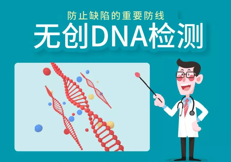 查染色体异常可以选择无创DNA