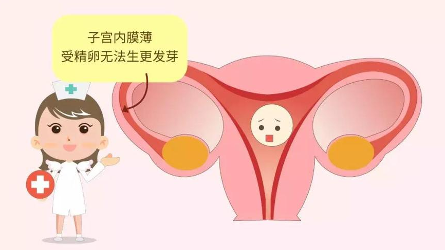 子宫内膜薄怀孕比较困难