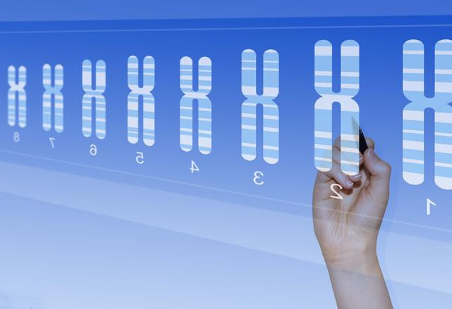 22号染色体决定哪些基因？22号染色体异常是什么原因？