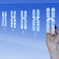 22号染色体决定哪些基因？22号染色体异常是什么原因？