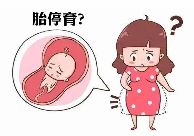 孕期吃凉皮造成孕停?导致胎停育的原因究竟是什么?