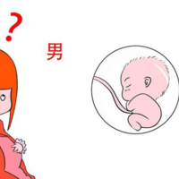想生男宝宝怎么备孕成功率高?民间100%生男孩秘方盘点