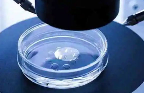 胚胎培养合格后才能进行移植