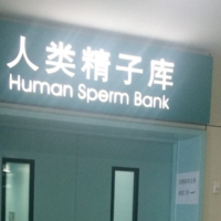 日本美女精子库，日本美女精子库现状