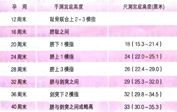 宫底高度与孕周手测尺测数据不同