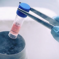 合肥安医大三代试管胚胎冷冻一年的费用具体是怎么计算的？